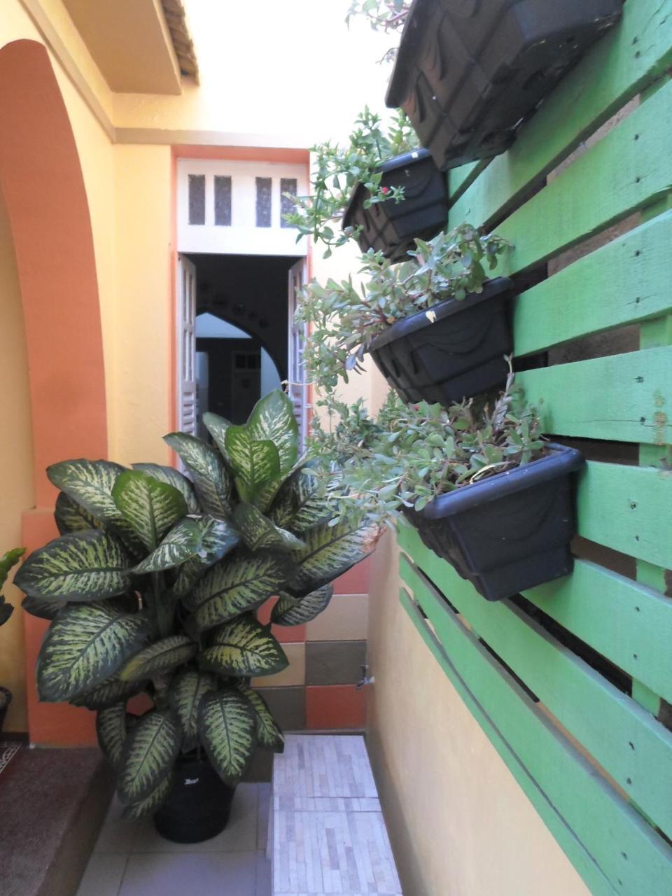 تريونفو Oasis Do Sertao Hostel E Pousada المظهر الخارجي الصورة